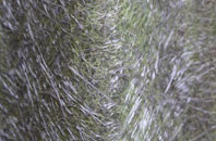 Normanby By Spital fibreglass roof work